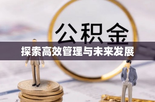 美溪探索高效管理与未来发展