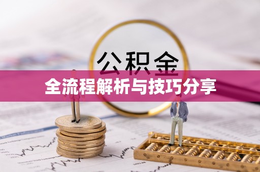 美溪全流程解析与技巧分享