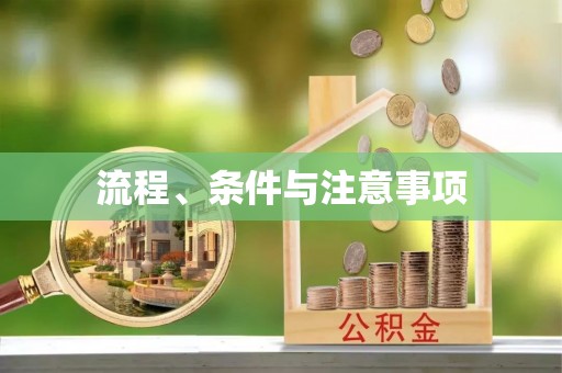 美溪流程、条件与注意事项